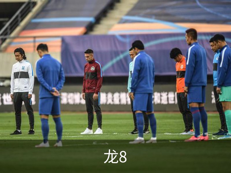 龙8简介